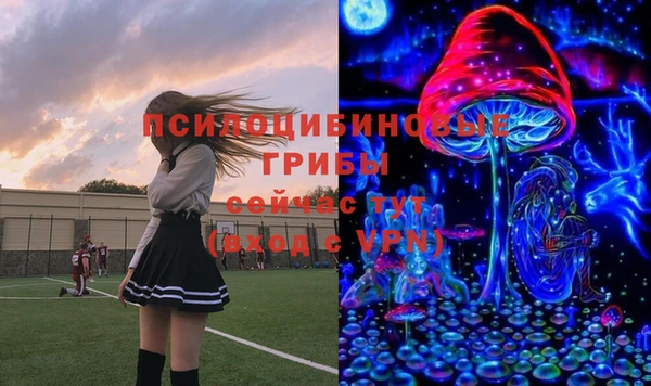 спайс Белокуриха
