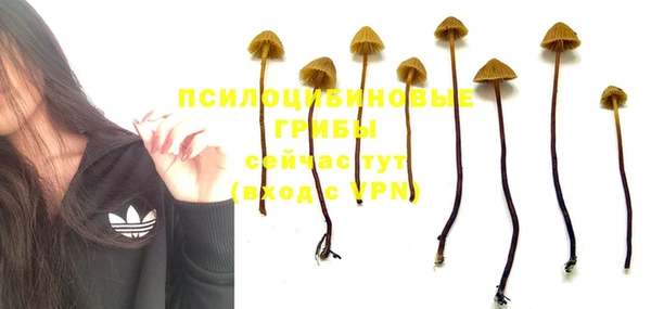 MESCALINE Беломорск