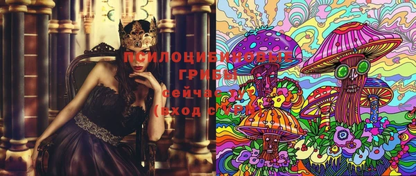 ПСИЛОЦИБИНОВЫЕ ГРИБЫ Магас