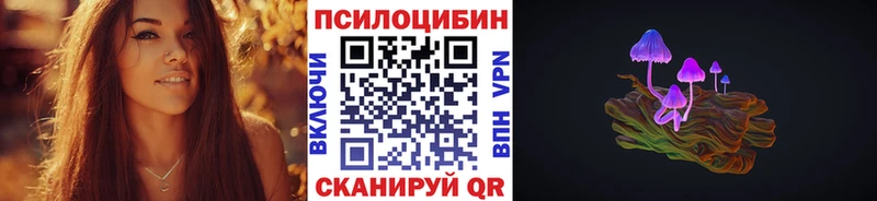 где купить наркоту  Луховицы  дарк нет какой сайт  Галлюциногенные грибы Psilocybine cubensis 