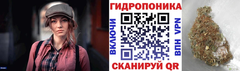 Бошки марихуана конопля  Луховицы 